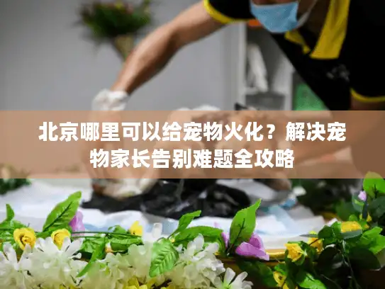 北京哪里可以给宠物火化？解决宠物家长告别难题全攻略