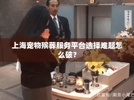 上海宠物殡葬服务平台选择难题怎么破？