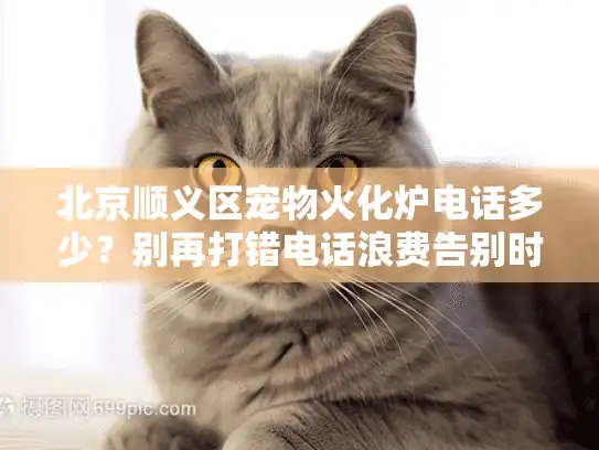 北京顺义区宠物火化炉电话多少？别再打错电话浪费告别时间