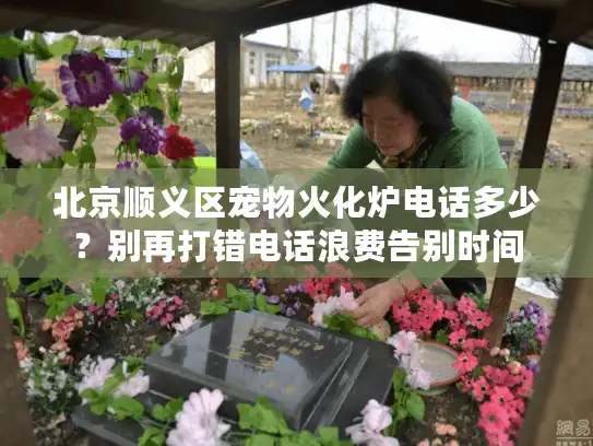 北京顺义区宠物火化炉电话多少？别再打错电话浪费告别时间