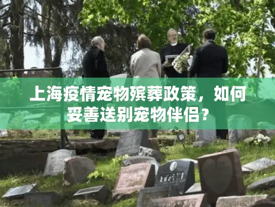 上海疫情宠物殡葬政策，如何妥善送别宠物伴侣？