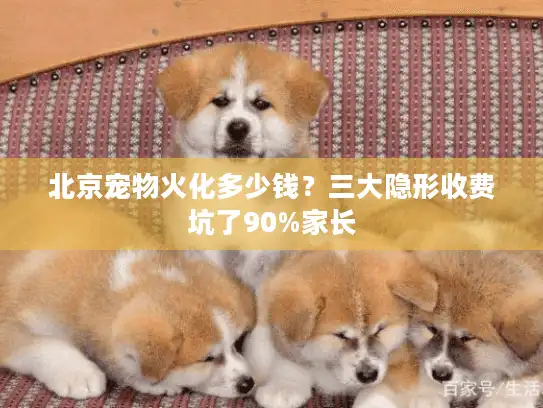 北京宠物火化多少钱？三大隐形收费坑了90%家长