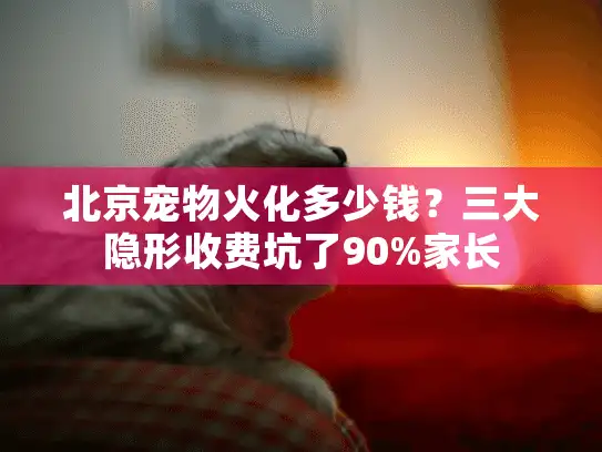 北京宠物火化多少钱？三大隐形收费坑了90%家长