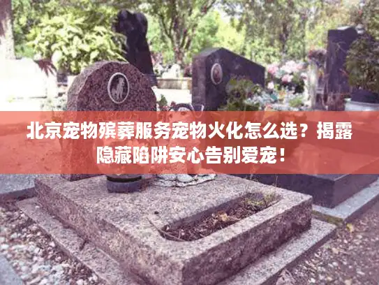 北京宠物殡葬服务宠物火化怎么选？揭露隐藏陷阱安心告别爱宠！