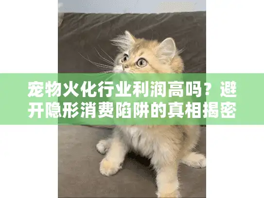 宠物火化行业利润高吗？避开隐形消费陷阱的真相揭密