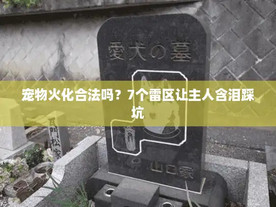 宠物火化合法吗？7个雷区让主人含泪踩坑