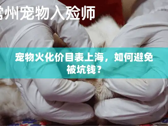 宠物火化价目表上海，如何避免被坑钱？