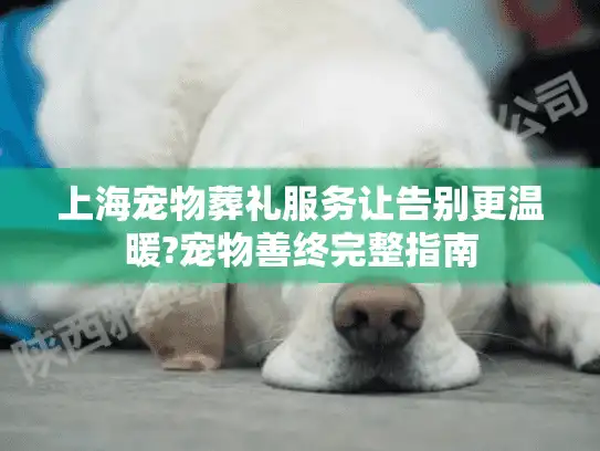 上海宠物葬礼服务让告别更温暖?宠物善终完整指南