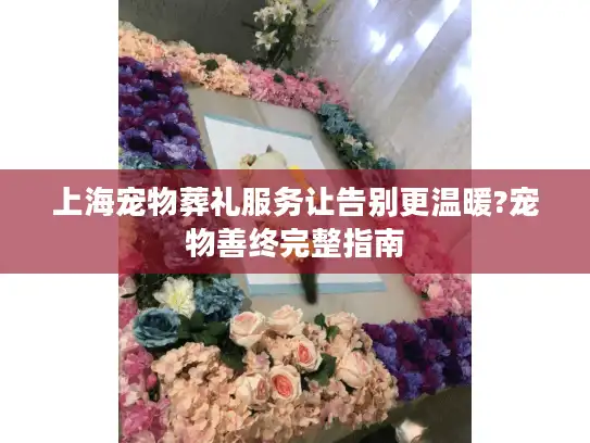 上海宠物葬礼服务让告别更温暖?宠物善终完整指南