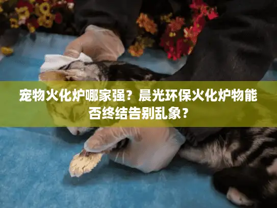 宠物火化炉哪家强？晨光环保火化炉物能否终结告别乱象？