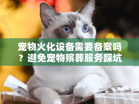 宠物火化设备需要备案吗？避免宠物殡葬服务踩坑的实战解析