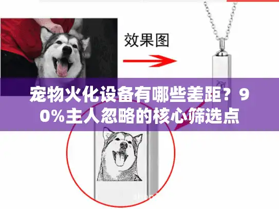 宠物火化设备有哪些差距？90%主人忽略的核心筛选点