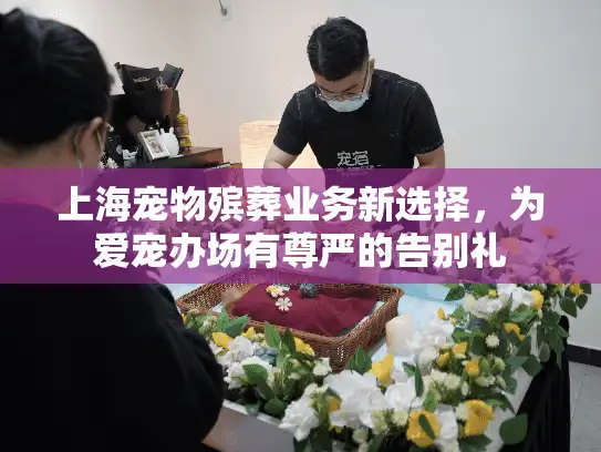 上海宠物殡葬业务新选择，为爱宠办场有尊严的告别礼