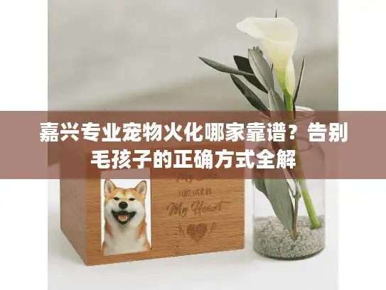 嘉兴专业宠物火化哪家靠谱？告别毛孩子的正确方式全解