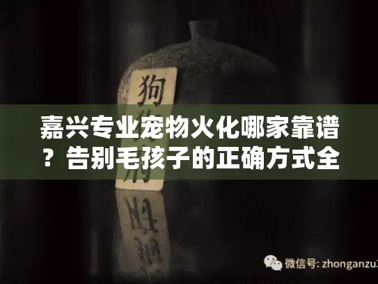 嘉兴专业宠物火化哪家靠谱？告别毛孩子的正确方式全解