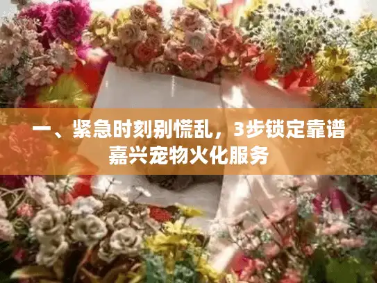 一、紧急时刻别慌乱，3步锁定靠谱嘉兴宠物火化服务