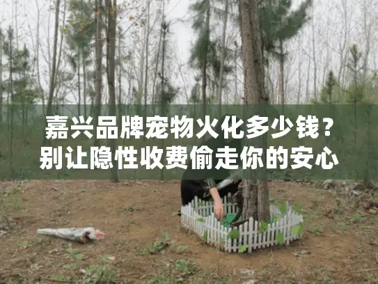 嘉兴品牌宠物火化多少钱？别让隐性收费偷走你的安心！