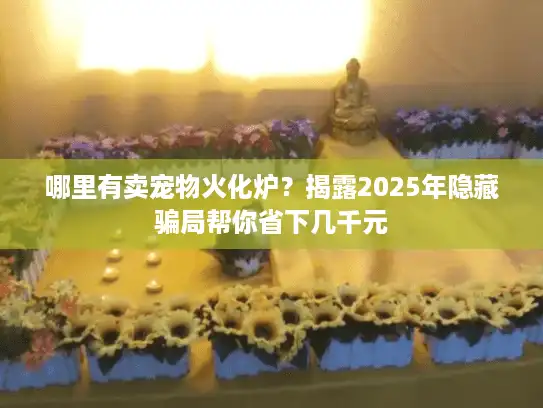 哪里有卖宠物火化炉？揭露2025年隐藏骗局帮你省下几千元