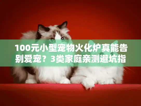 100元小型宠物火化炉真能告别爱宠？3类家庭亲测避坑指南