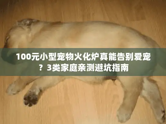 100元小型宠物火化炉真能告别爱宠？3类家庭亲测避坑指南