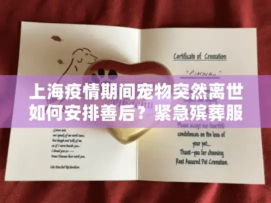 上海疫情期间宠物突然离世如何安排善后？紧急殡葬服务指南