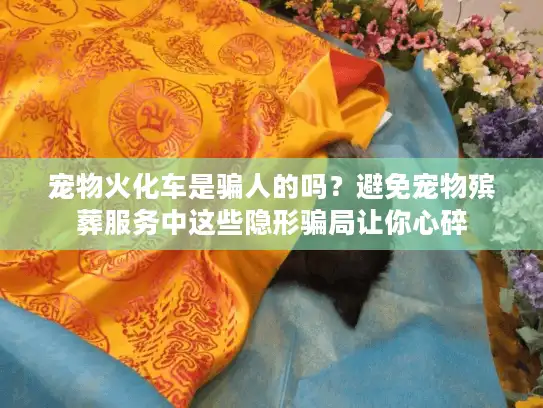宠物火化车是骗人的吗？避免宠物殡葬服务中这些隐形骗局让你心碎