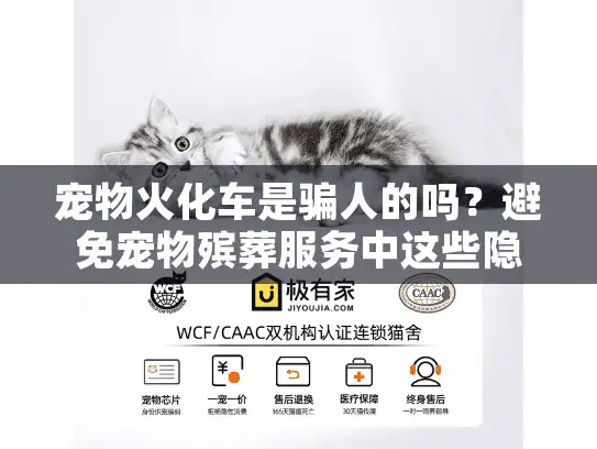 宠物火化车是骗人的吗？避免宠物殡葬服务中这些隐形骗局让你心碎