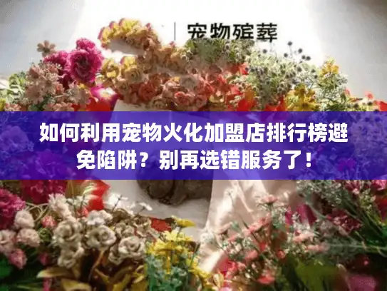 如何利用宠物火化加盟店排行榜避免陷阱？别再选错服务了！