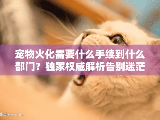 宠物火化需要什么手续到什么部门？独家权威解析告别迷茫时刻