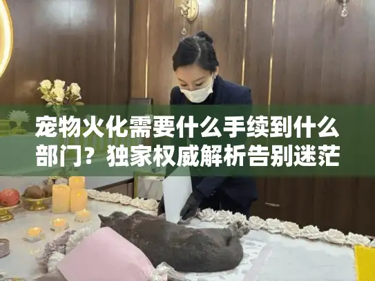 宠物火化需要什么手续到什么部门？独家权威解析告别迷茫时刻