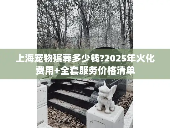 上海宠物殡葬多少钱?2025年火化费用+全套服务价格清单