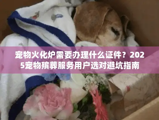 宠物火化炉需要办理什么证件？2025宠物殡葬服务用户选对避坑指南