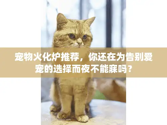 宠物火化炉推荐，你还在为告别爱宠的选择而夜不能寐吗？