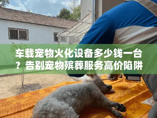 车载宠物火化设备多少钱一台？告别宠物殡葬服务高价陷阱