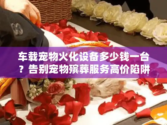 车载宠物火化设备多少钱一台？告别宠物殡葬服务高价陷阱