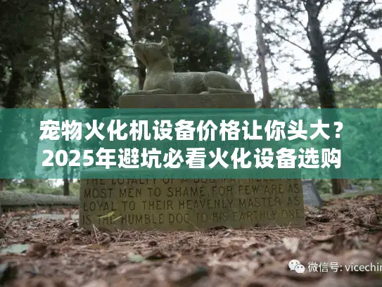 宠物火化机设备价格让你头大？2025年避坑必看火化设备选购指南