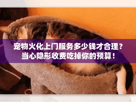 宠物火化上门服务多少钱才合理？当心隐形收费吃掉你的预算！