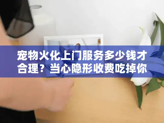 宠物火化上门服务多少钱才合理？当心隐形收费吃掉你的预算！