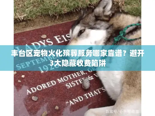 丰台区宠物火化殡葬服务哪家靠谱？避开3大隐藏收费陷阱