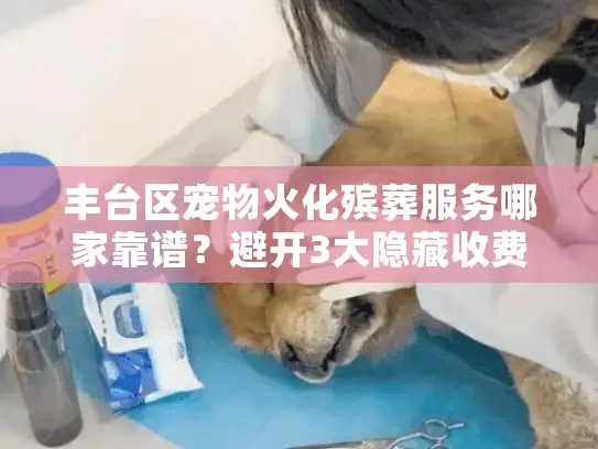 丰台区宠物火化殡葬服务哪家靠谱？避开3大隐藏收费陷阱