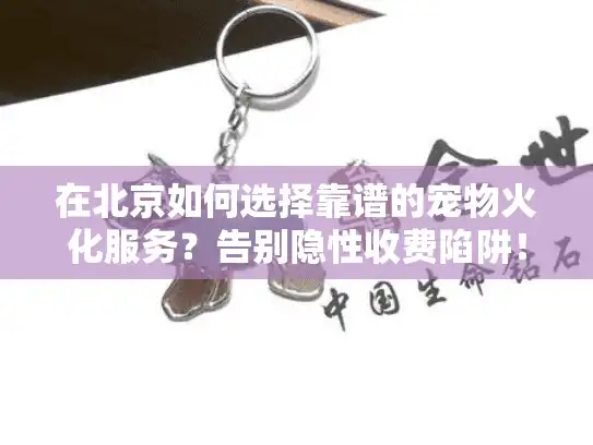 在北京如何选择靠谱的宠物火化服务？告别隐性收费陷阱！