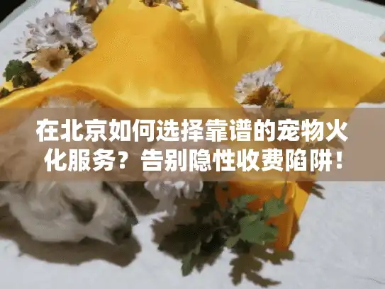 在北京如何选择靠谱的宠物火化服务？告别隐性收费陷阱！