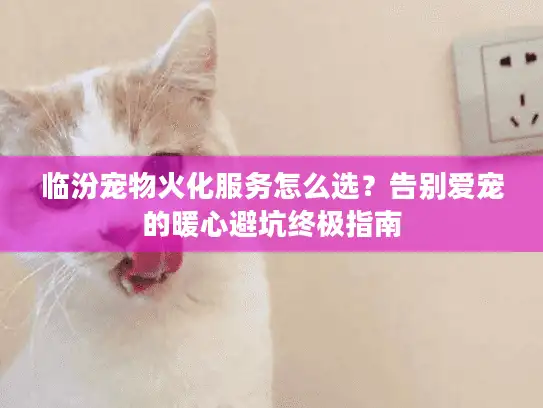 临汾宠物火化服务怎么选？告别爱宠的暖心避坑终极指南