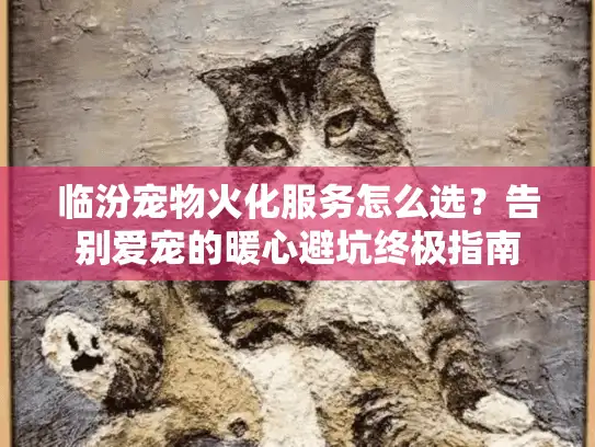 临汾宠物火化服务怎么选？告别爱宠的暖心避坑终极指南