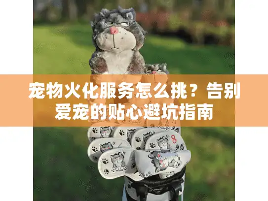 宠物火化服务怎么挑？告别爱宠的贴心避坑指南