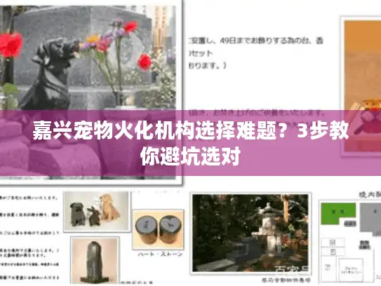 嘉兴宠物火化机构选择难题？3步教你避坑选对