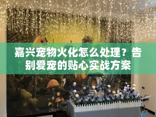 嘉兴宠物火化怎么处理？告别爱宠的贴心实战方案