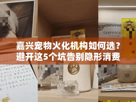 嘉兴宠物火化机构如何选？避开这5个坑告别隐形消费