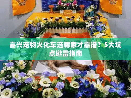 嘉兴宠物火化车选哪家才靠谱？5大坑点避雷指南