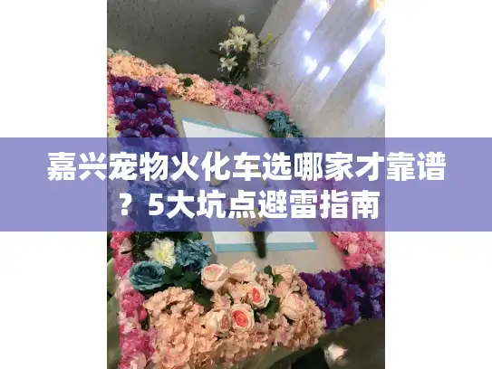嘉兴宠物火化车选哪家才靠谱？5大坑点避雷指南